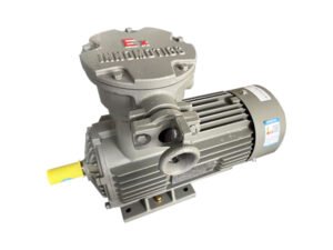 1MB0063 IE3 Gas explosion-proof three-phase AC induction motor