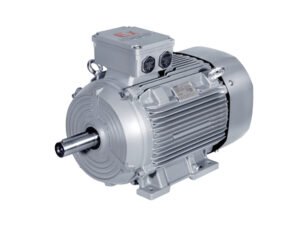 1MB8014 IE4 Dust explosion-proof three-phase AC induction motor