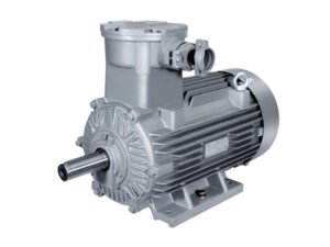 1MB8064 IE4 Gas explosion-proof three-phase AC induction motor