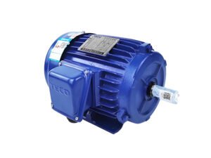 TECO TEV4 IE4 three-phase AC induction motor