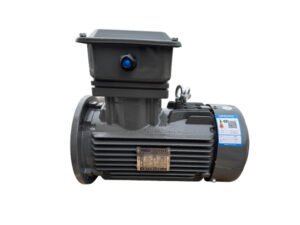 TECO TEV5 IE5 three-phase AC induction motor