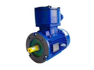 TECO TEBY IE3 Explosion proof three-phase AC induction motor