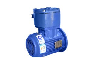 TECO TEB4 IE4 Explosion proof three-phase AC induction motor