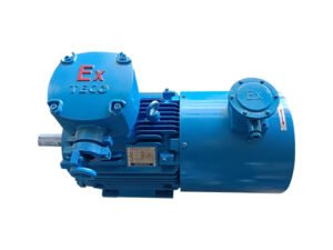 TECO TEBD  Explosion proof and VFD AC induction motor
