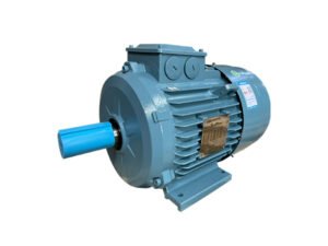ABB M2BAX three-phase AC induction motor