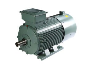 Y2VP Converter-Fed three-phase AC induction motor