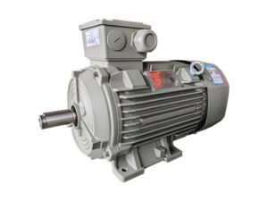 1LE8004 IE4 three-phase AC induction motor