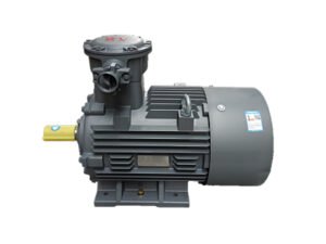 1MT0003 IE3 Gas explosion-proof three-phase AC induction motor