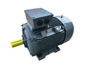 1MT8014 IE4 Dust explosion-proof three-phase AC induction motor