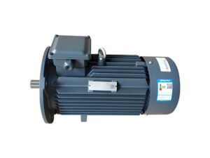 1TL8004 IE4 three-phase AC induction motor